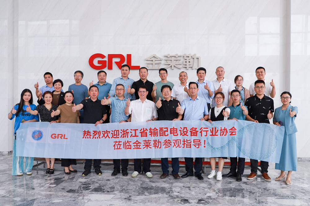 2023.6.5 Информация о GRL | Почетный президент Сян Чжунсяо и его делегация Ассоциации производителей передающего и распределительного оборудования Чжэцзяна посетили GRL для получения рекомендаций